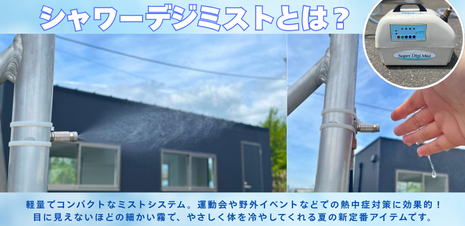 デジミストとは